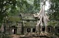 Angkor 007