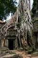 Angkor 008