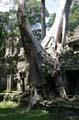 Angkor