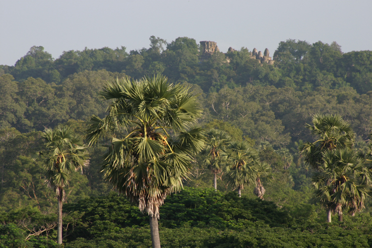 Angkor Wat 010