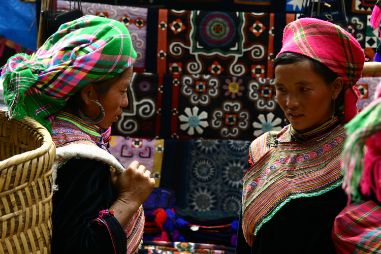 Bac Ha 003