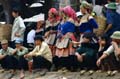 Bac Ha 005