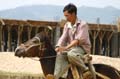 Bac Ha 008
