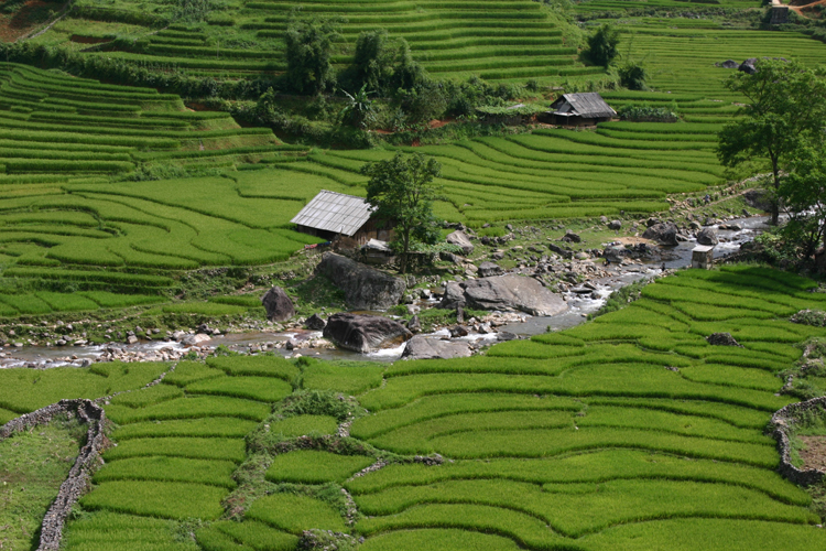 Lao Chai 013
