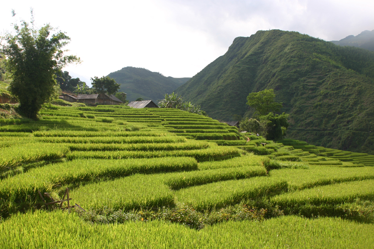 Lao Chai 022