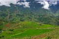 Sapa 008
