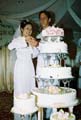 Wedding Party 025