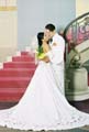 Wedding Photos 007