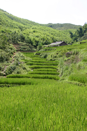 Lao Chai 010