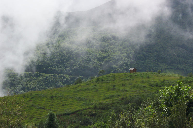 Sapa 003