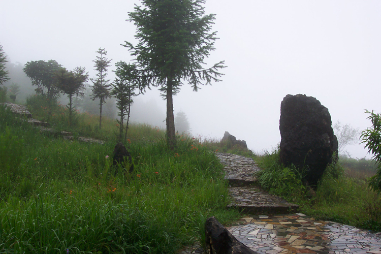 Sapa 006