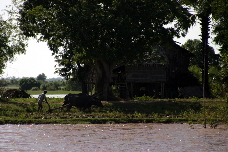Tonle Sap 004