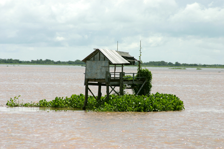 Tonle Sap 014A